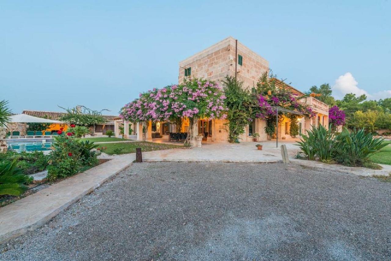 Fincas Campos Villa
